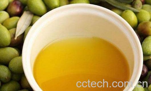 生茶油的功效与作用 生茶油的好处-1