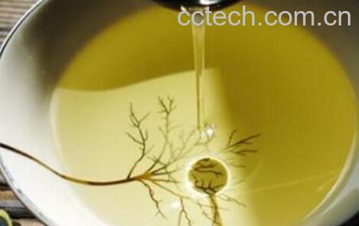 吃茶油有什么好处和坏处-0