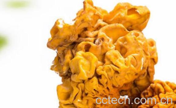 云南金耳菌怎么吃 金耳菌怎么做好吃-0