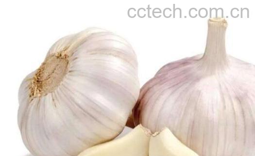 生吃大蒜有什么好处和坏处-1