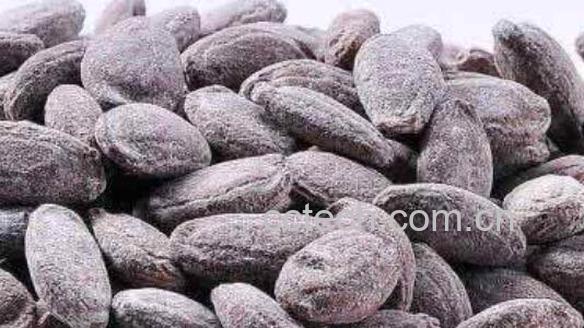 吃吊瓜子的好处与坏处-1