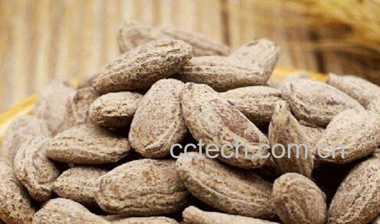 吃吊瓜子的好处与坏处-0