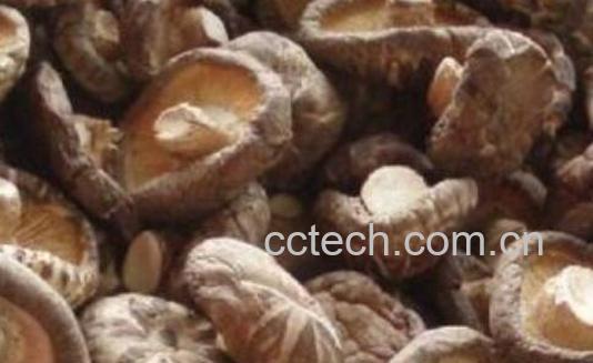 香菇与口磨的区别-0