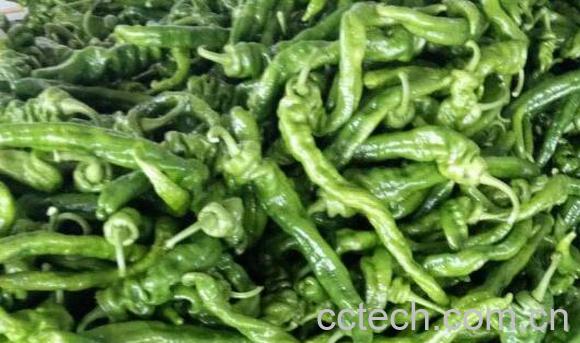 吃螺丝椒的好处和坏处-0