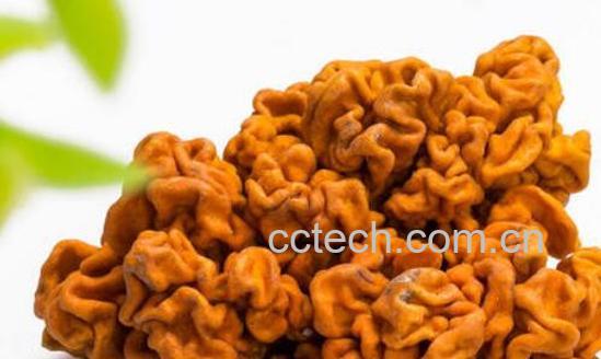 金木耳怎么种植 金木耳的种植技术-0