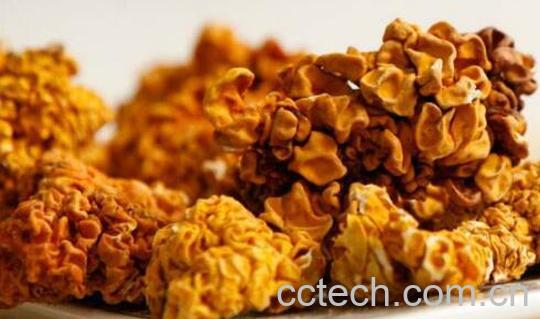 金木耳的功效与作用 金木耳怎么做好吃-1