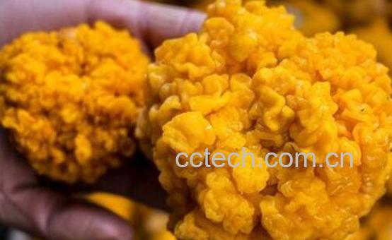 黄金耳的功效与食用方法-0