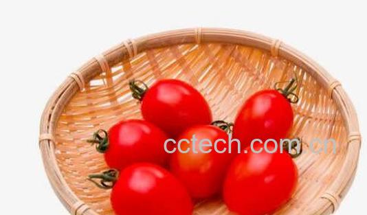 生吃小番茄的功效与作用-1