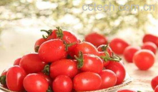 生吃小番茄的功效与作用-0