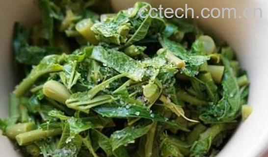 怎样腌香椿芽好吃-1