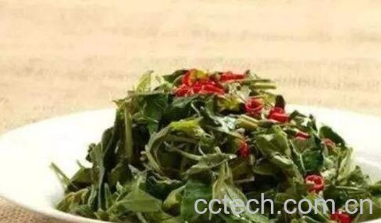 怎样腌香椿芽好吃-0