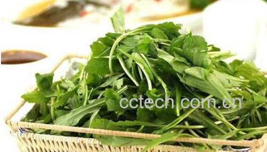 吃荠菜有什么好处和坏处-0