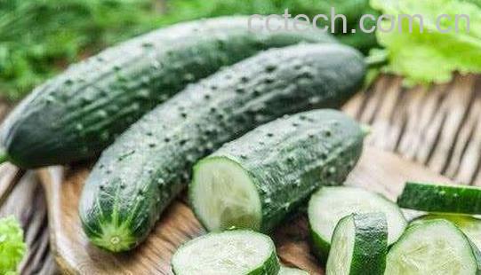吃黄瓜7个要命禁忌-1