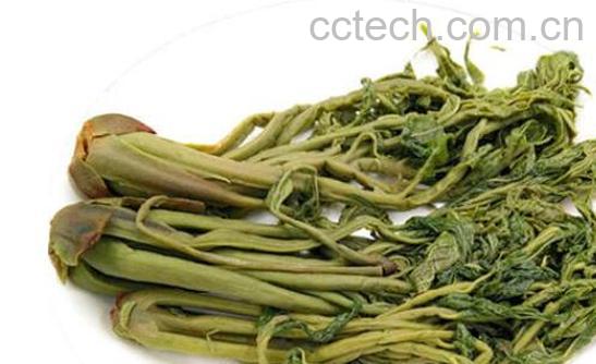 怎样腌香椿芽好吃窍门-1