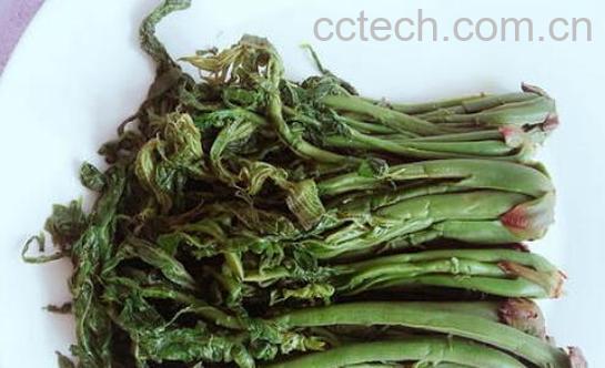 怎样腌香椿芽好吃窍门-0