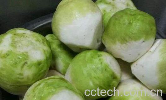 吃芥菜疙瘩的好处与坏处-1