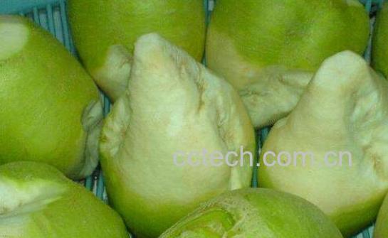 吃芥菜疙瘩的好处与坏处-0