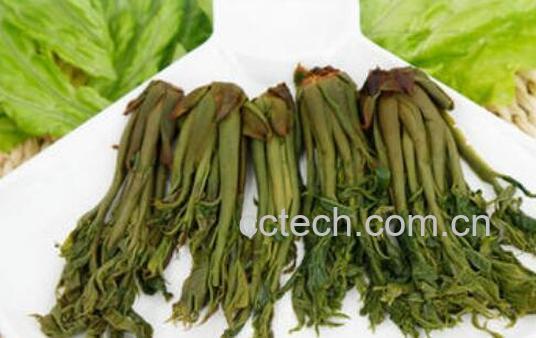 春芽咸菜的腌制方法窍门-0