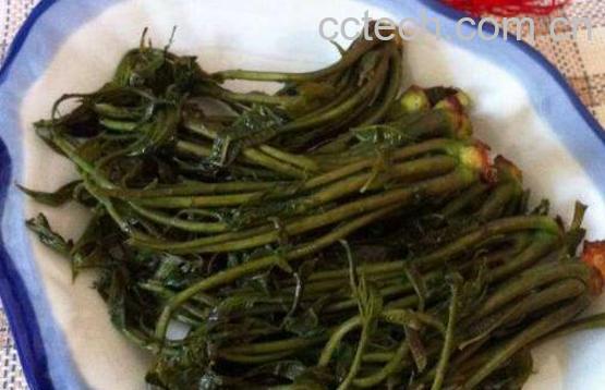 春芽咸菜的腌制方法窍门-1