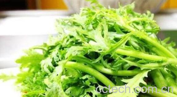 野蒿菜怎么做好吃 野蒿菜的家常做法大全-0