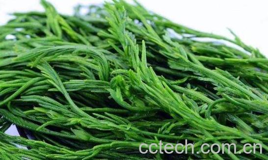 臭菜凉拌怎么做好吃窍门-1