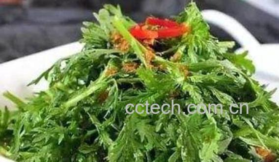 野蒿子怎么吃 野蒿子的食用方法-0