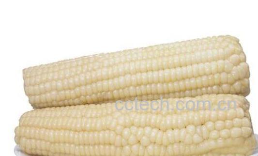 吃糯玉米的好处与坏处-1