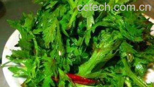 野蒿子怎么吃 野蒿子的食用方法-1