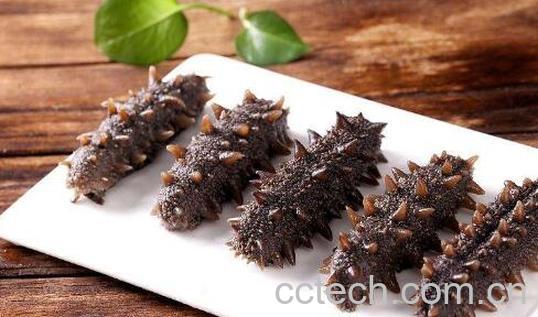 辽参和海参的区别 吃辽参的好处-0