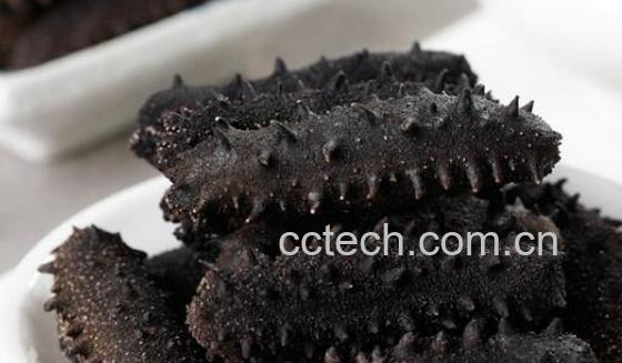 辽参和海参的区别 吃辽参的好处-1