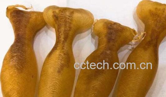 小孩吃蜘蛛鱼胶的功效-0