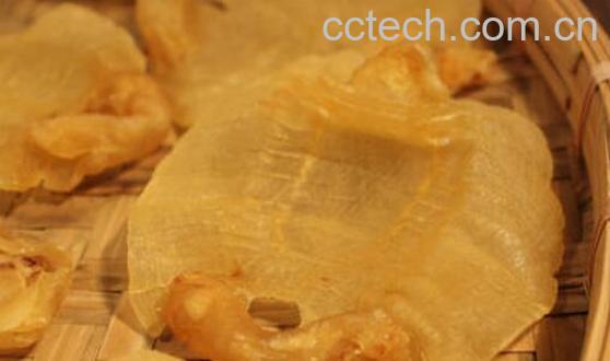 赤嘴鱼胶的功效与作用及食用方法-0