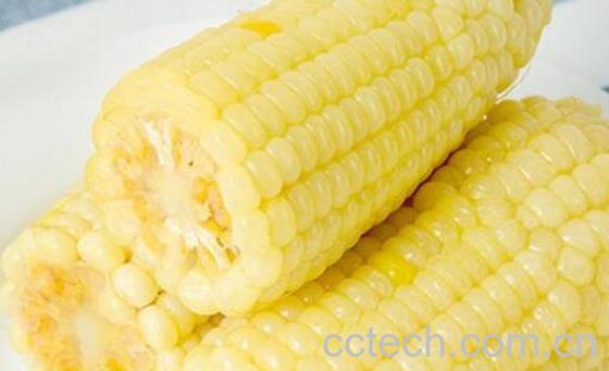 粘玉米的好处与营养价值 粘玉米的危害-1