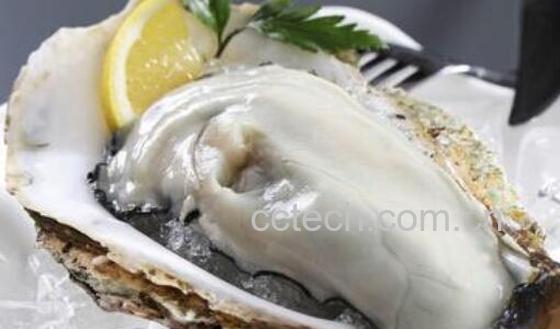 外观怎么区分生蚝和牡蛎 生蚝的功效与作用-0