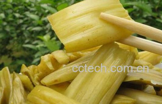 白芋梗的功效与作用-0