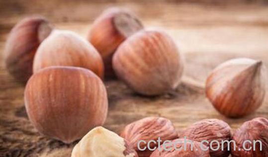 川榛子与川楝子的区别 川榛子的功效与作用-1