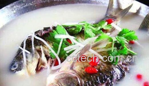 吃鲫鱼的4个禁忌-0