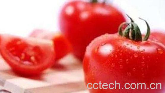番茄酒的功效与作用-1