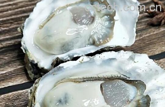 牡蛎和生蚝的区别 吃牡蛎的好处-0