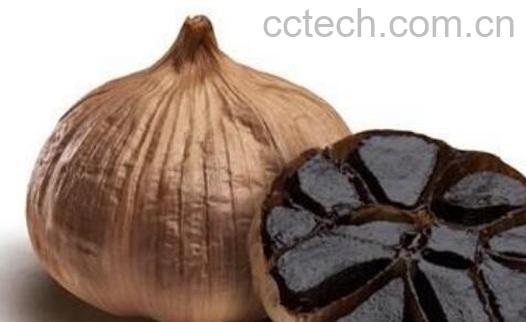 黑蒜怎么制作 黑蒜制作方法教程-0