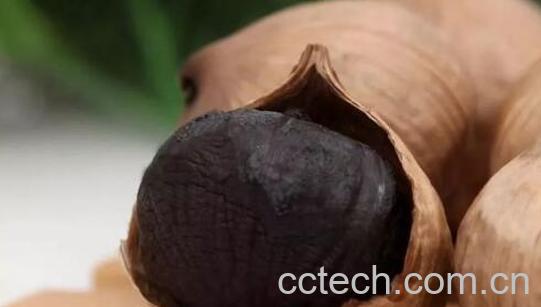 黑蒜怎么制作 黑蒜制作方法教程-1