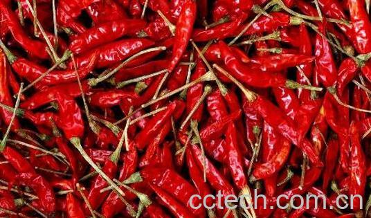 辣椒素对人体的好处和坏处-0