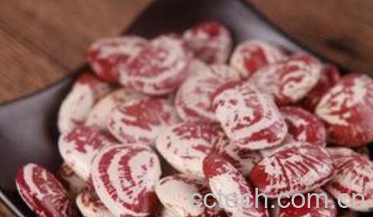 荷包豆不能与什么同吃 荷包豆的禁忌-1