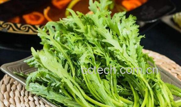 大蒿菜的功效与作用-1