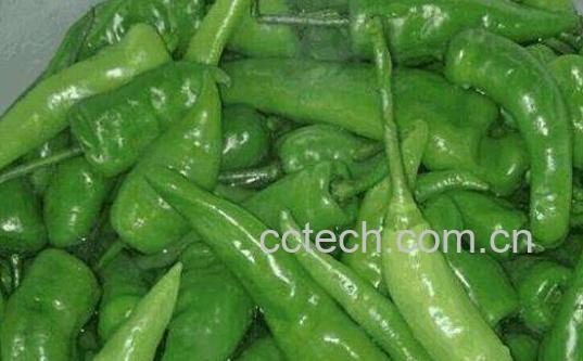 辣椒泡菜的做法大全窍门-1