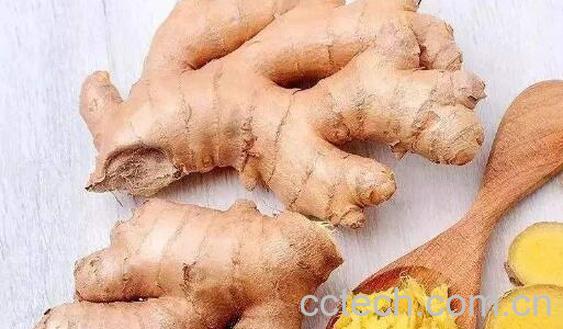 这4类人吃姜如吃砒霜 吃姜的禁忌-0