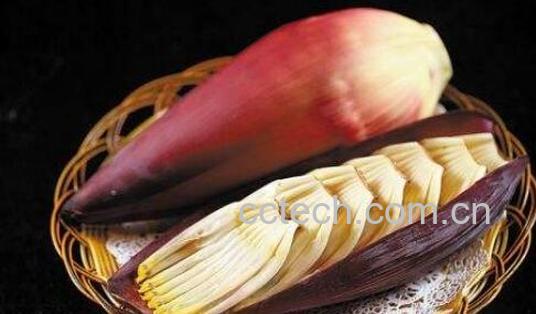 蕉花的药用功效与作用-1