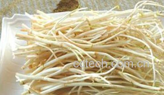 白芹怎么吃 白芹的食用方法-0