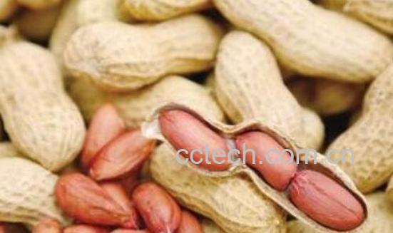 长时间吃花生的危害-0