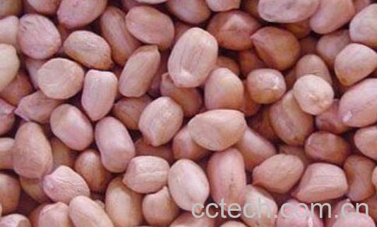 长时间吃花生的危害-1